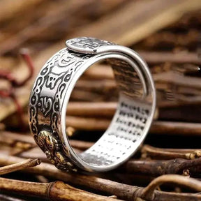 [ACHETER 1, OBTENIR 2] Bague de réussite Feng Shui + CADEAU